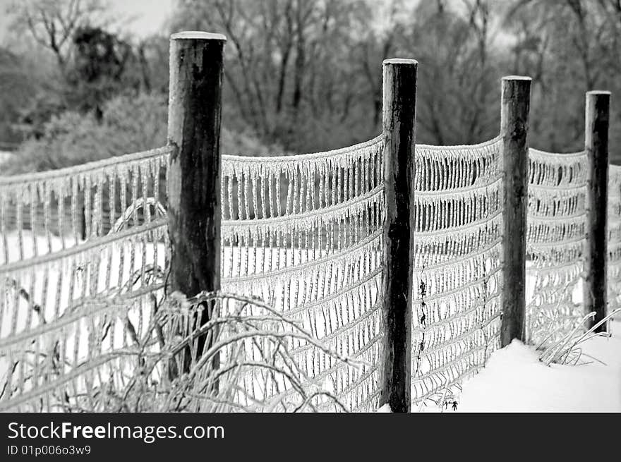 Frozen Fence