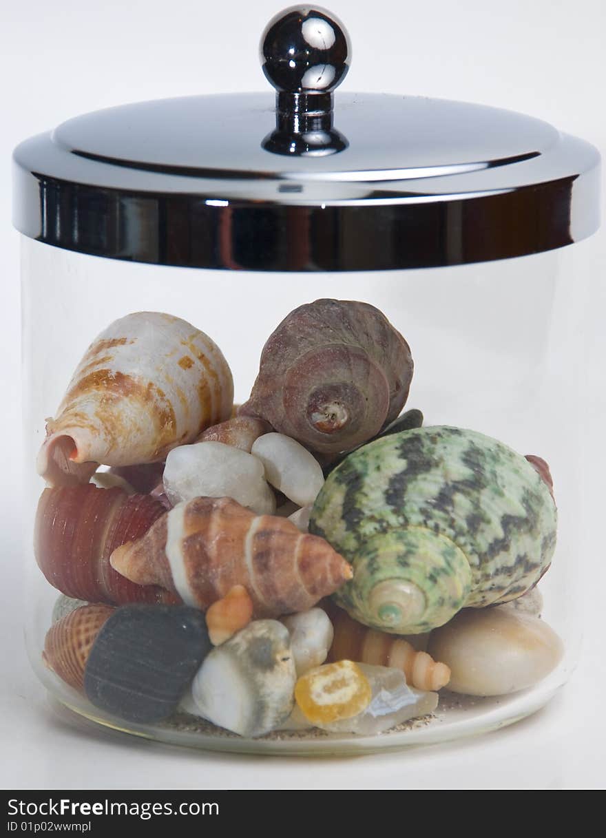 Jar Of Seashells