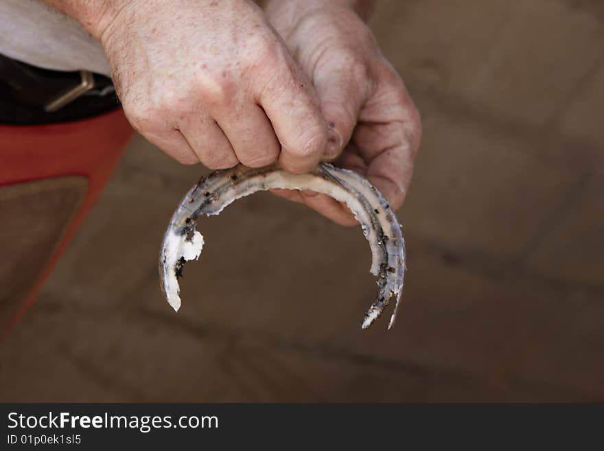 Farrier with old Horseshoe