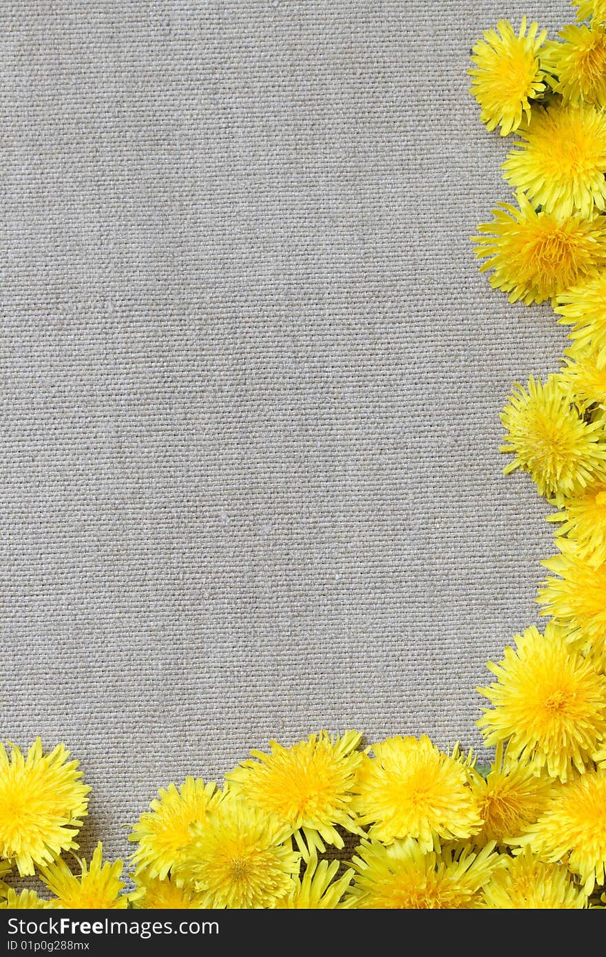 Border made from dandelion flowes lying on canvas background. Border made from dandelion flowes lying on canvas background