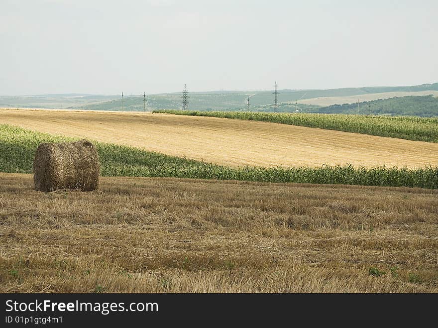 Ripe wheat field, mown, with many straw rolls on it. Ripe wheat field, mown, with many straw rolls on it