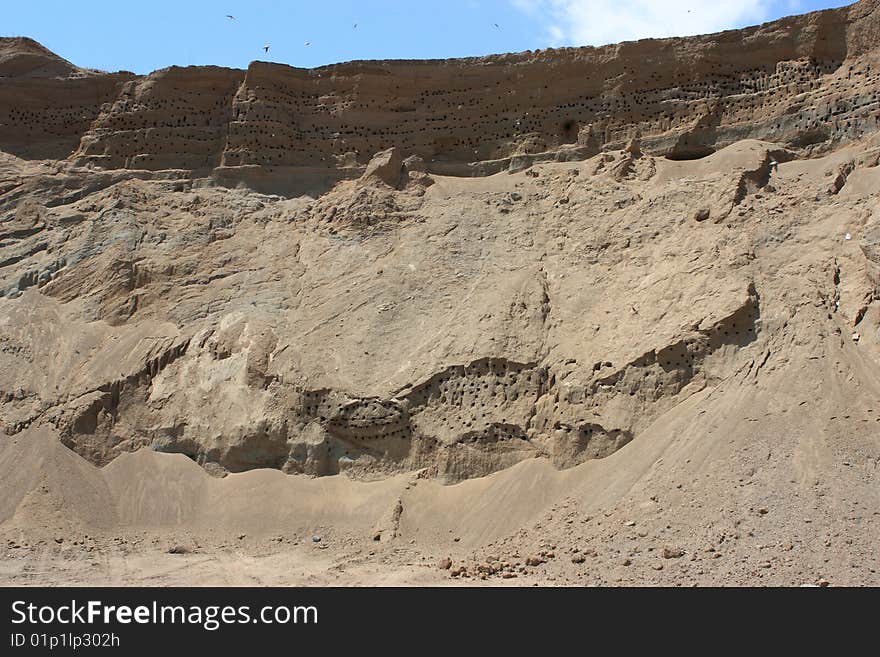 Swallow nests in sand and swallows flying. Swallow nests in sand and swallows flying