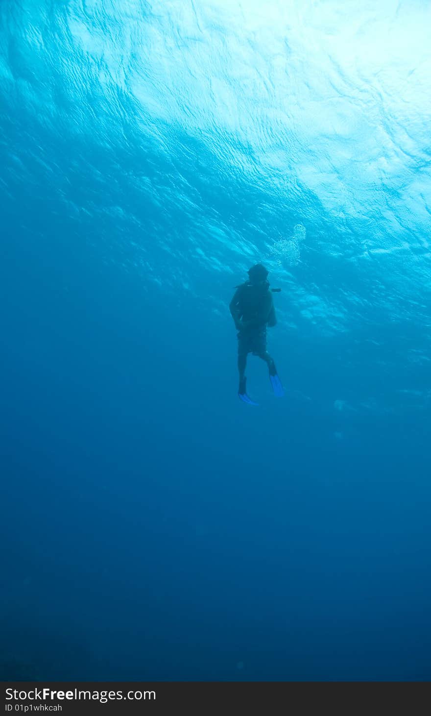 Diver silhouette