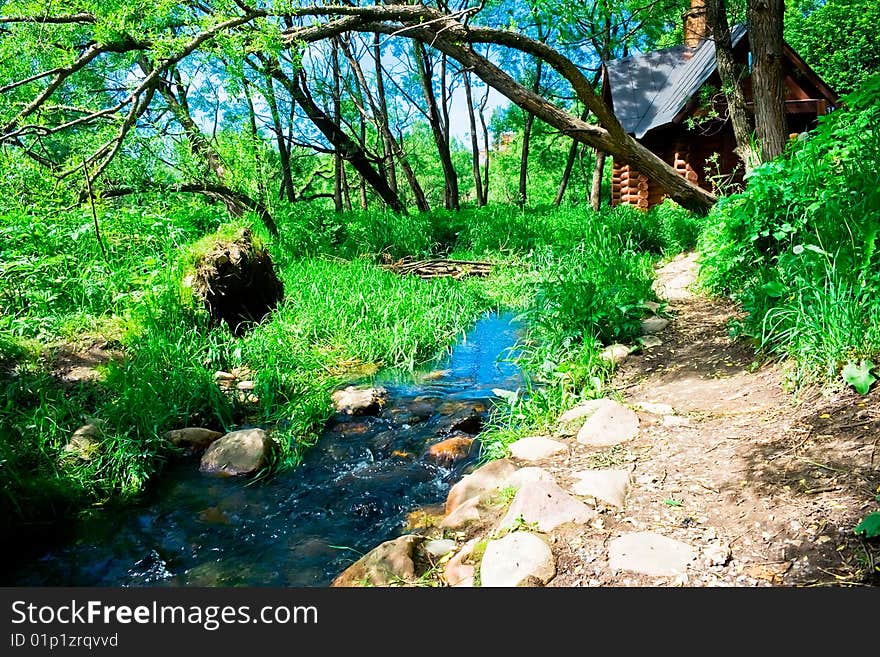 A river in the forest. A river in the forest