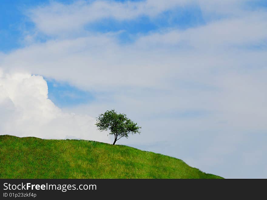 Single tree on  green hill on  background of  sky with white clouds