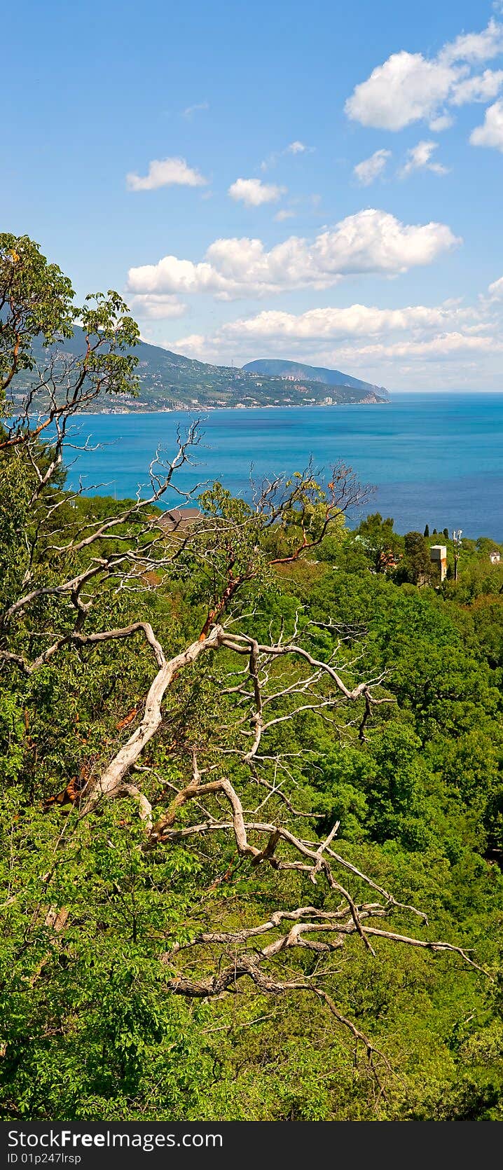 Panorama of the mountains and epidemic deathes of the south coast of Krimea. Panorama of the mountains and epidemic deathes of the south coast of Krimea