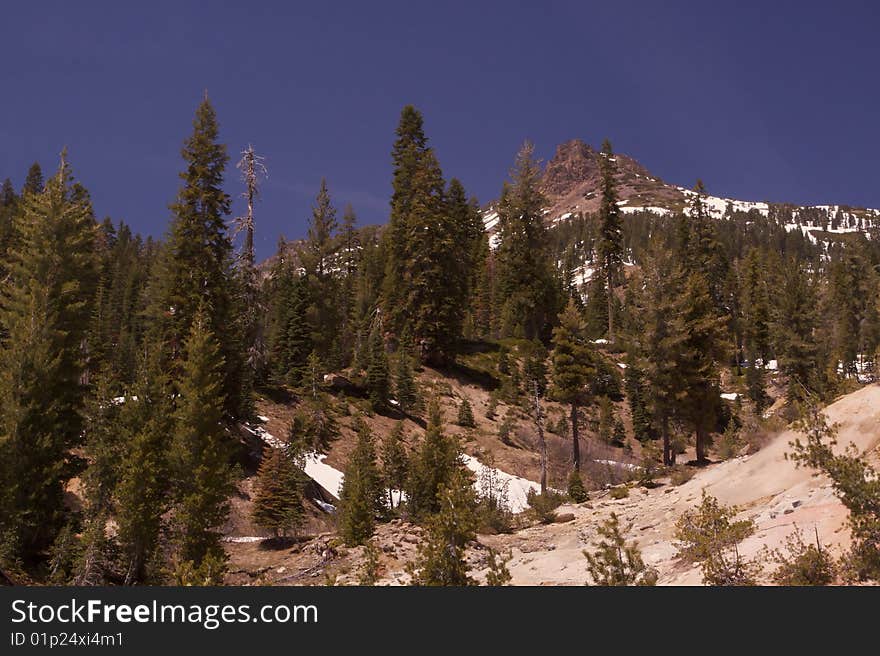 Mountian Peak And Pine Trees