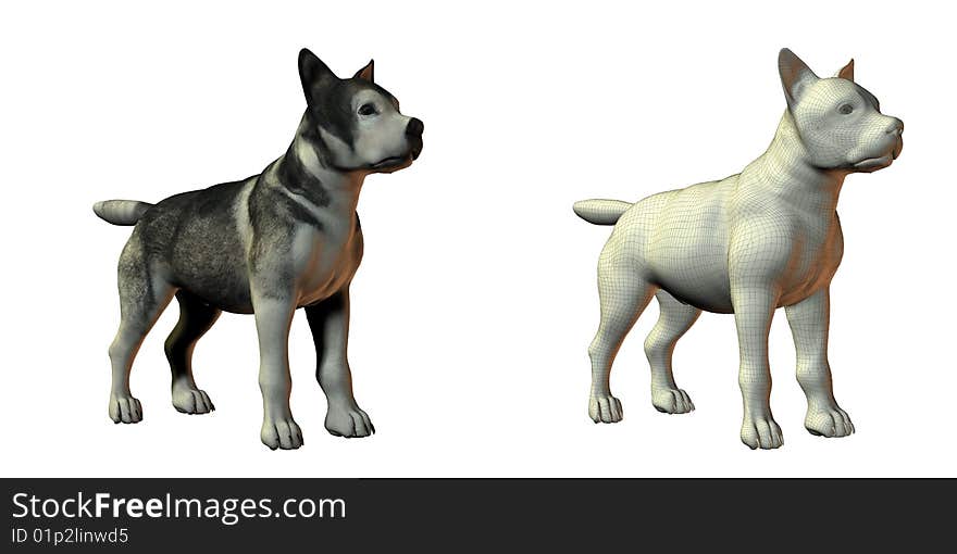 Malamute dog 3d model