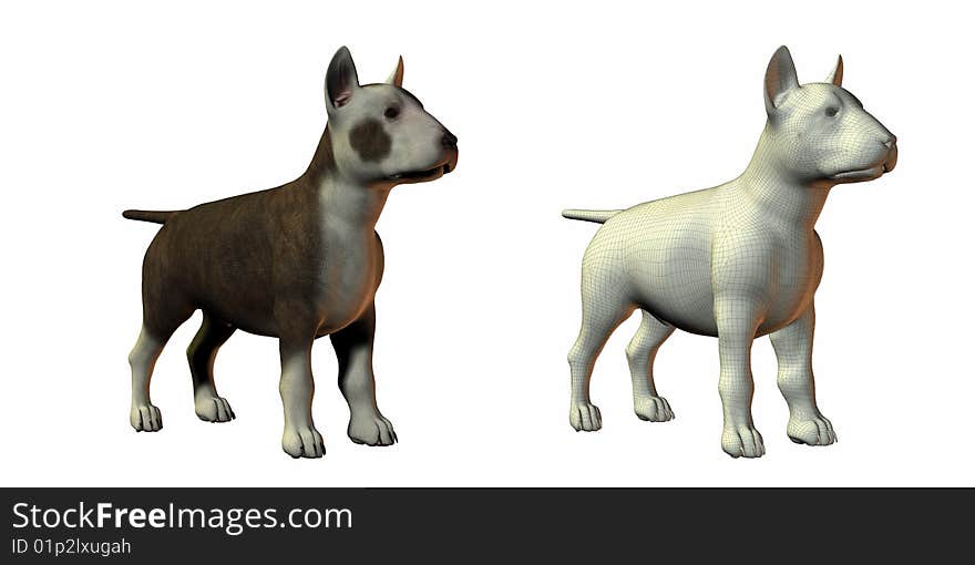 Bull terrior dog 3d model isolated on white