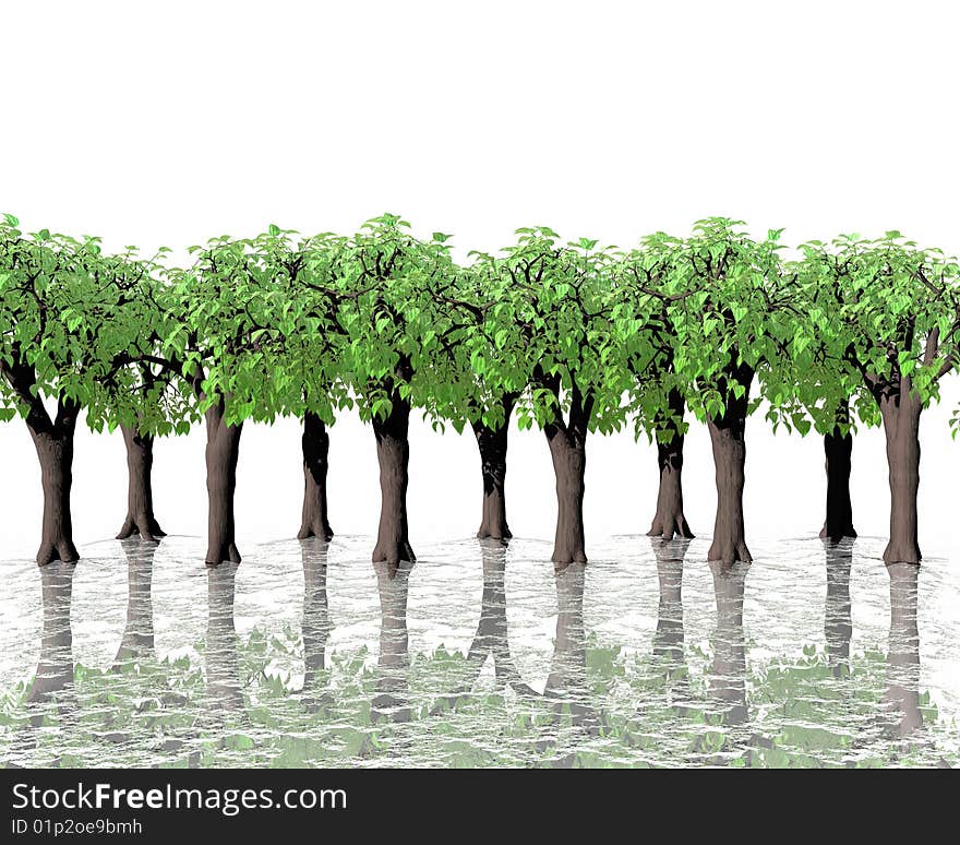 Green Trees In Water With Reflection On White Back