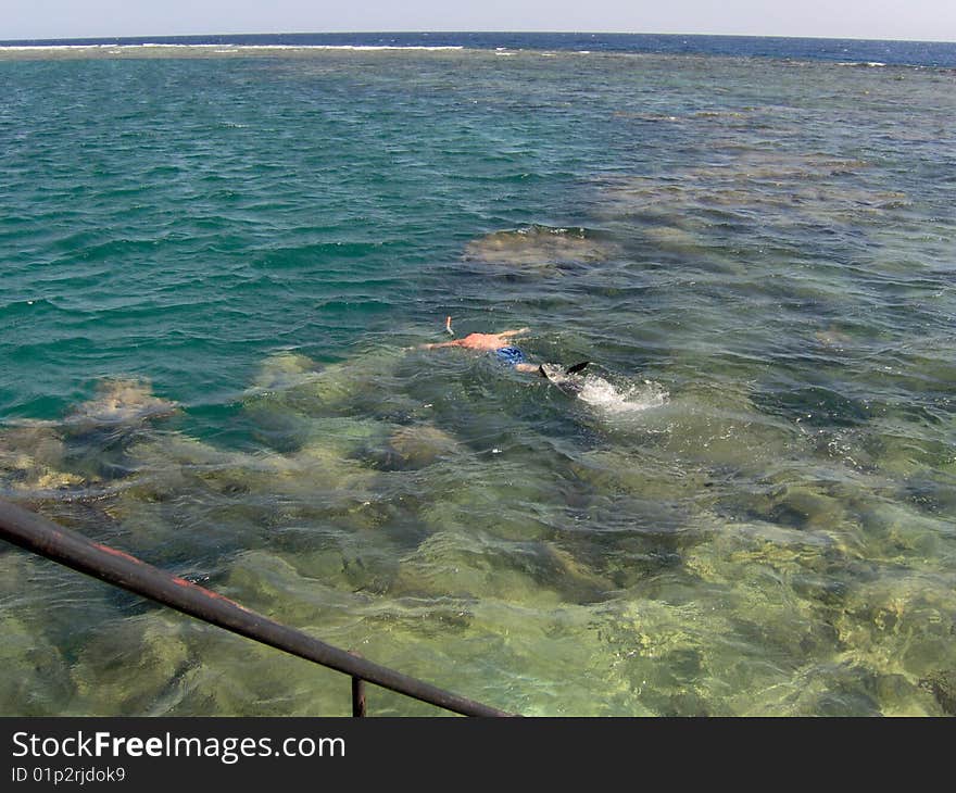 swimming and snorkling in the sea