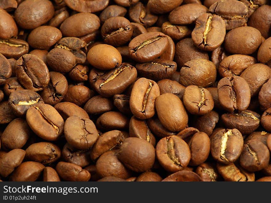 Close up of the aromatic coffe beans. Close up of the aromatic coffe beans