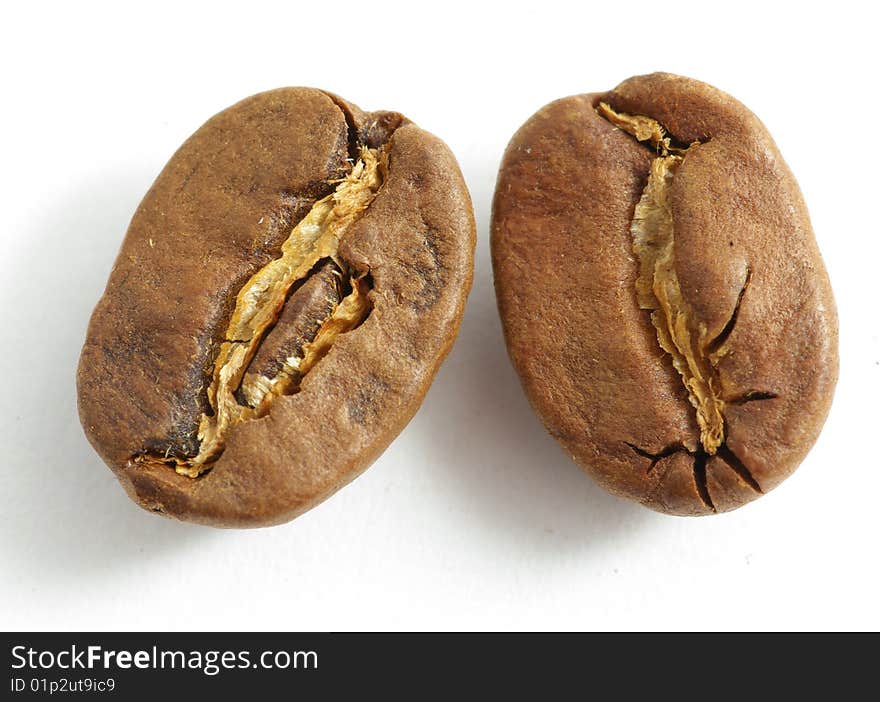 Grains of coffee on a white background