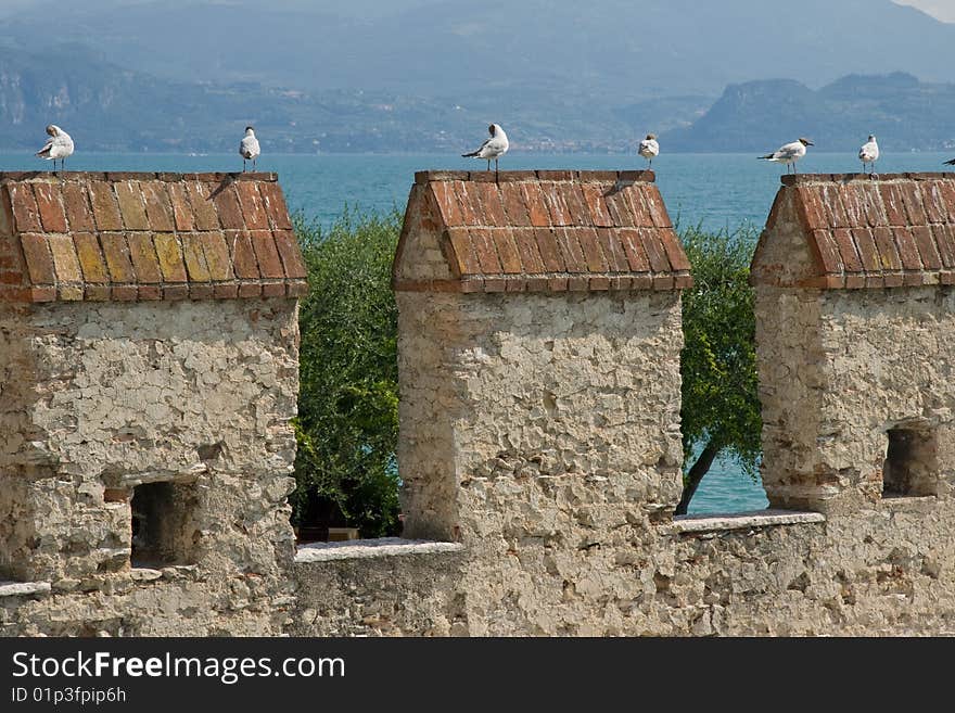 Sea gulls onto castle pinnacles