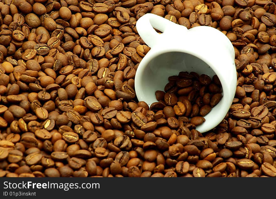 Coffee beans in a white cup. Coffee beans in a white cup