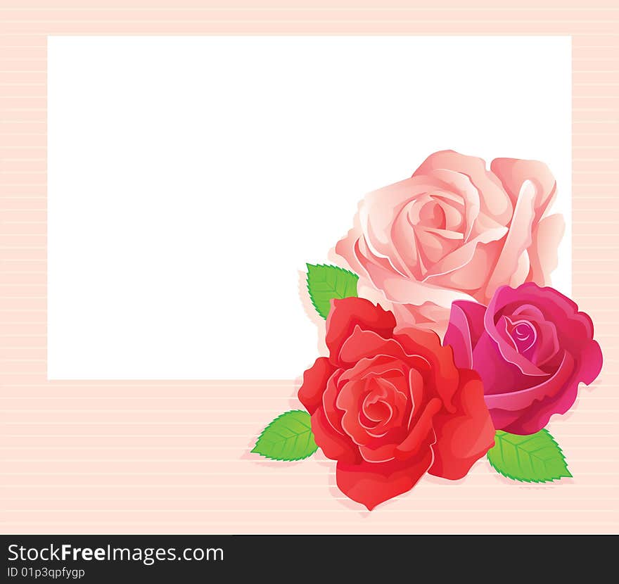 3 roses banner, vector illustration