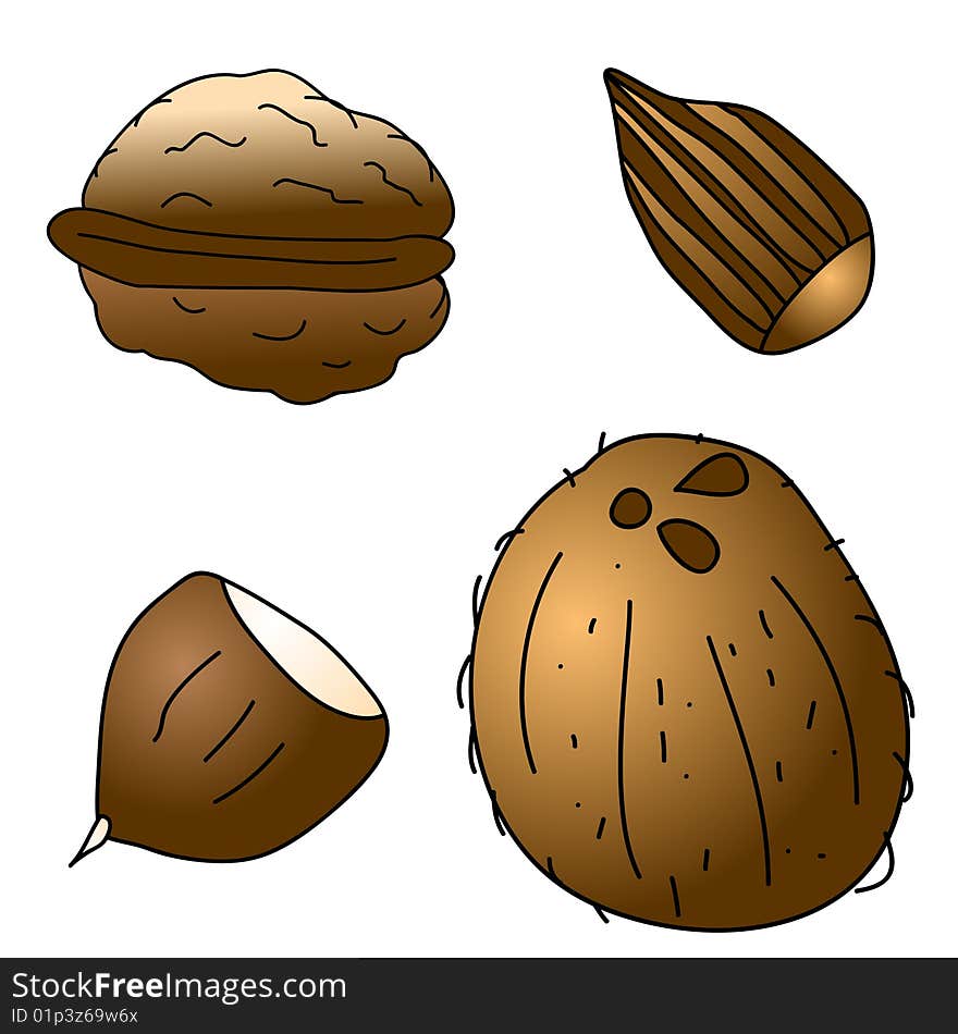 A childish  illustration of 4 nuts isolated on white background.