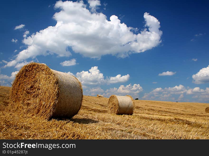 Straw bales in a field