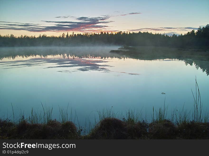 The small lake with pine trees. The small lake with pine trees