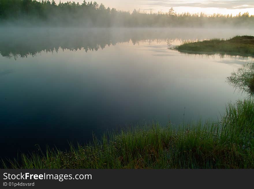 The small lake with pine trees in the mist. The small lake with pine trees in the mist