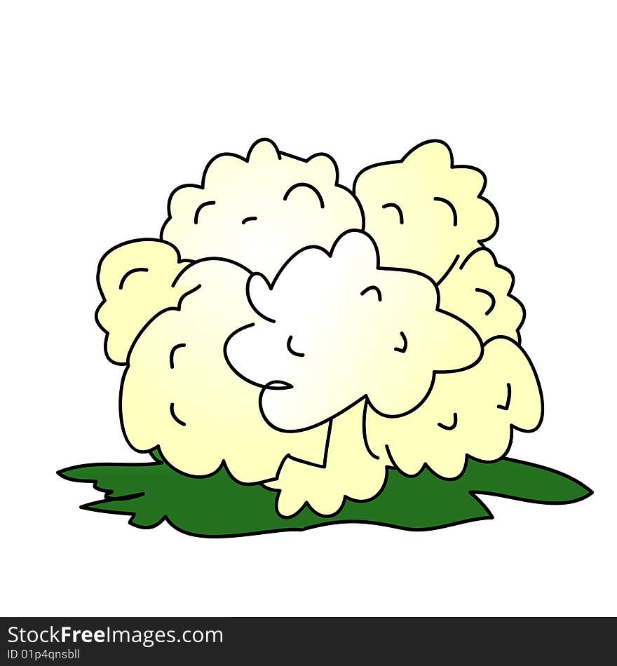 A childish vector illustration of a cauliflower isolated on white background.