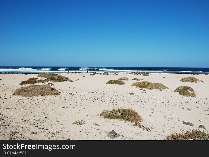 A sunny day at the beach. A sunny day at the beach