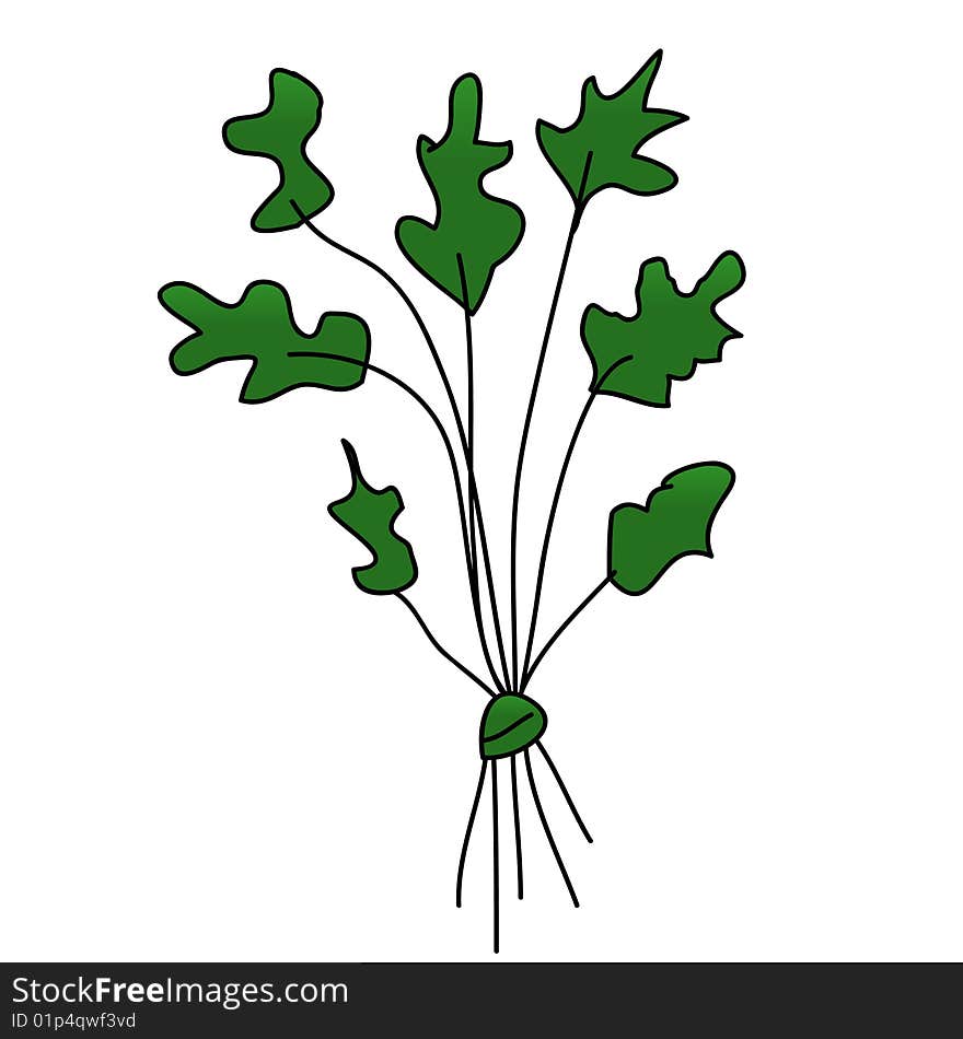 A childish vector illustration of a parsley isolated on white background.