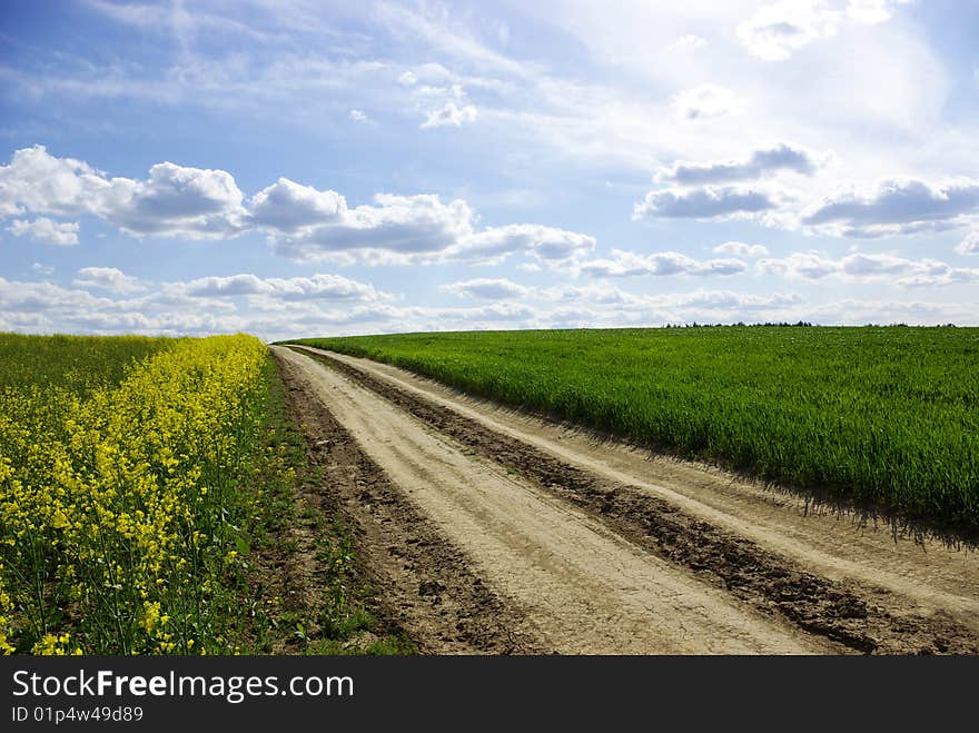 Rural dirt road through the field. Rural dirt road through the field