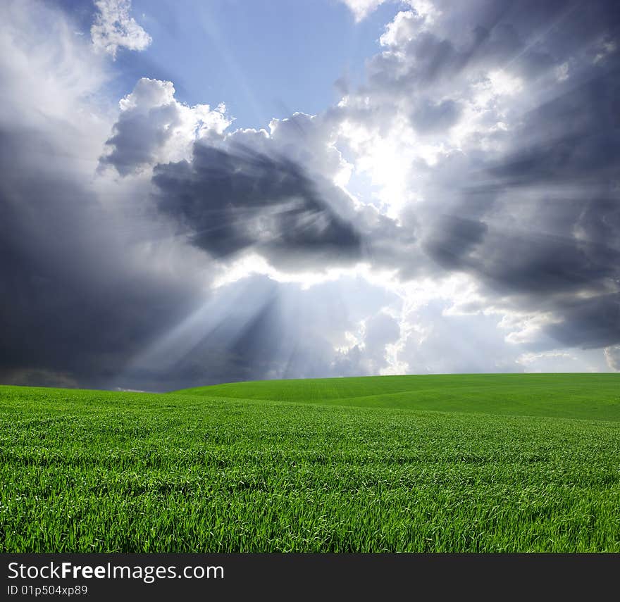 Green meadow under blue sky with clouds. Green meadow under blue sky with clouds