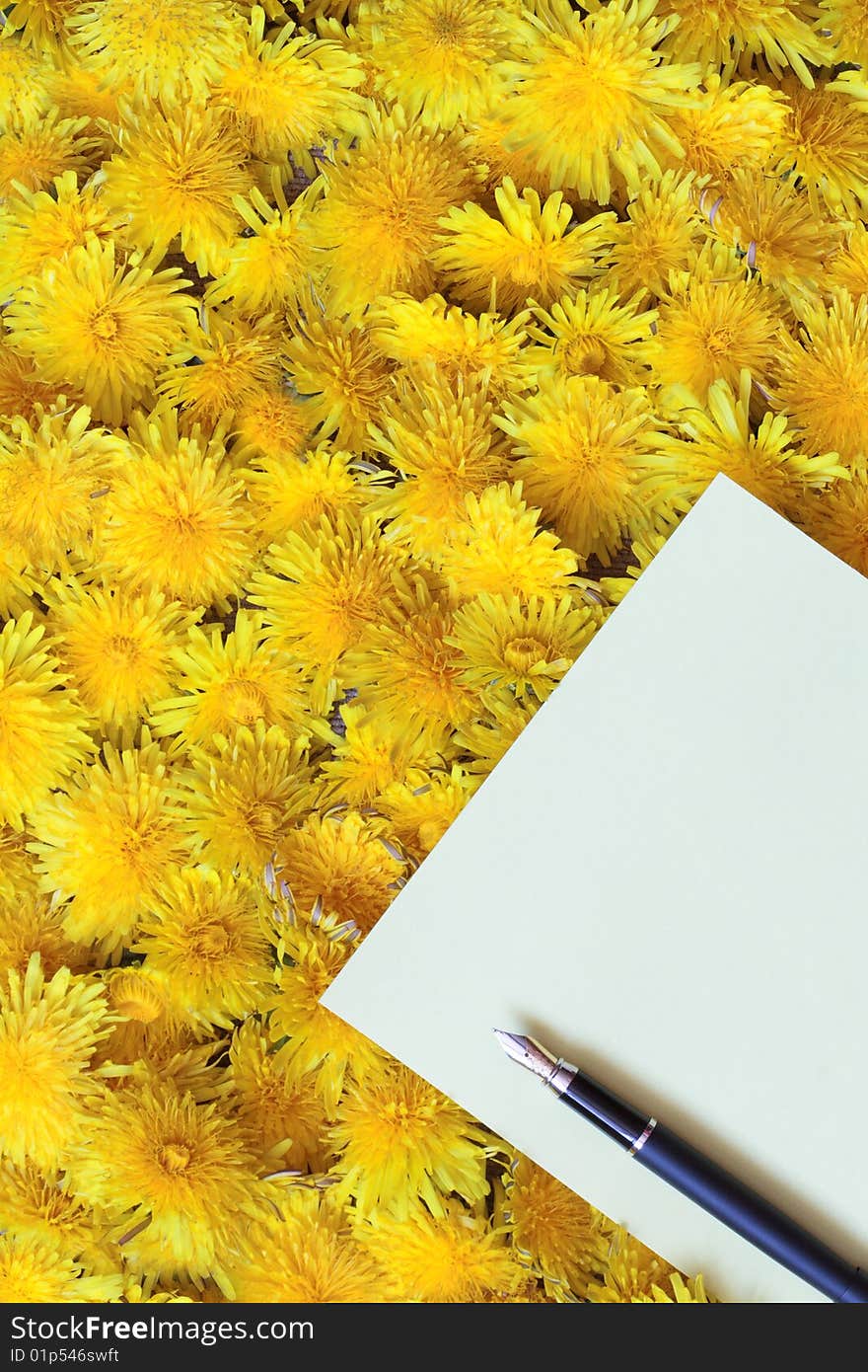 Blank paper sheet and fountain pen lying on dandelion background. Blank paper sheet and fountain pen lying on dandelion background