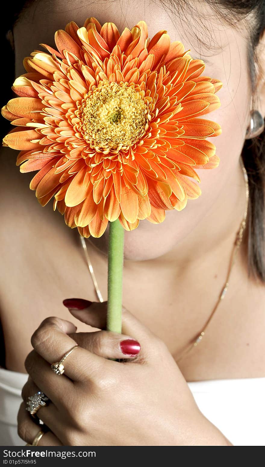 Girl holding holding flower in studio.