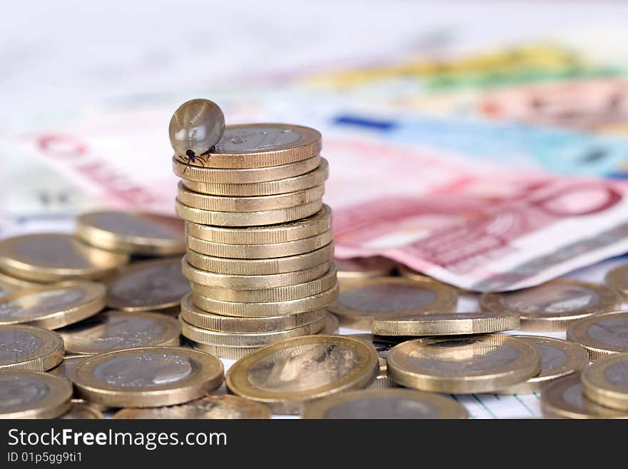 Tick sitting on euro coins with euro banknotes in background. Tick sitting on euro coins with euro banknotes in background