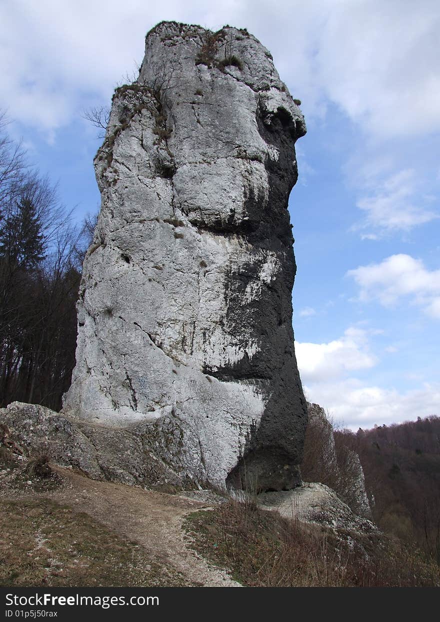 Limestone rock, Hercules  club