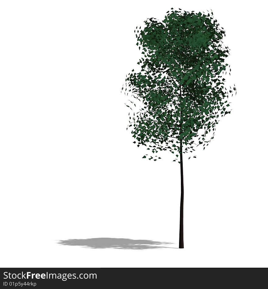 3D Render of a broadleef Tree