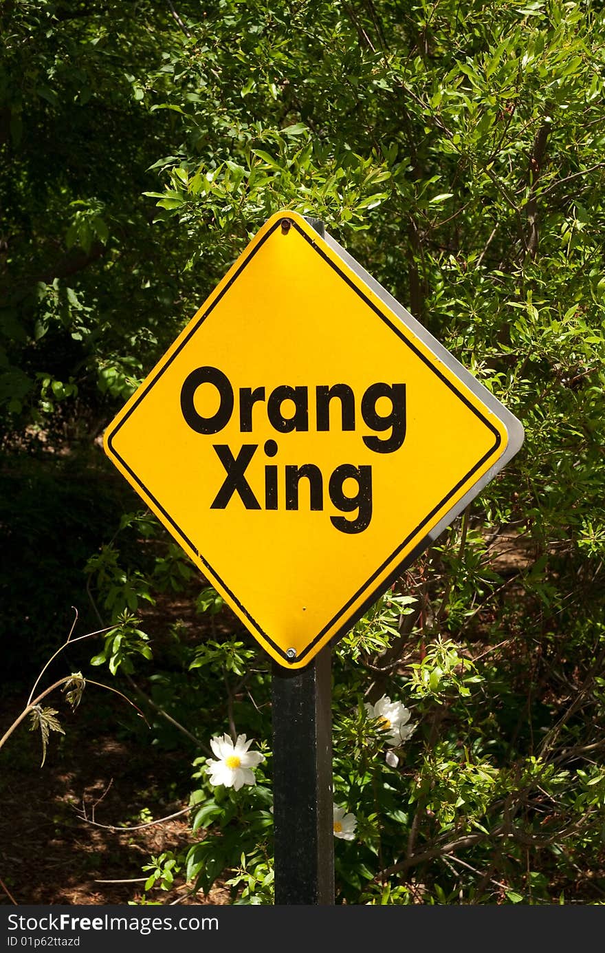 Bright yellow sign indicating orangutan crossing