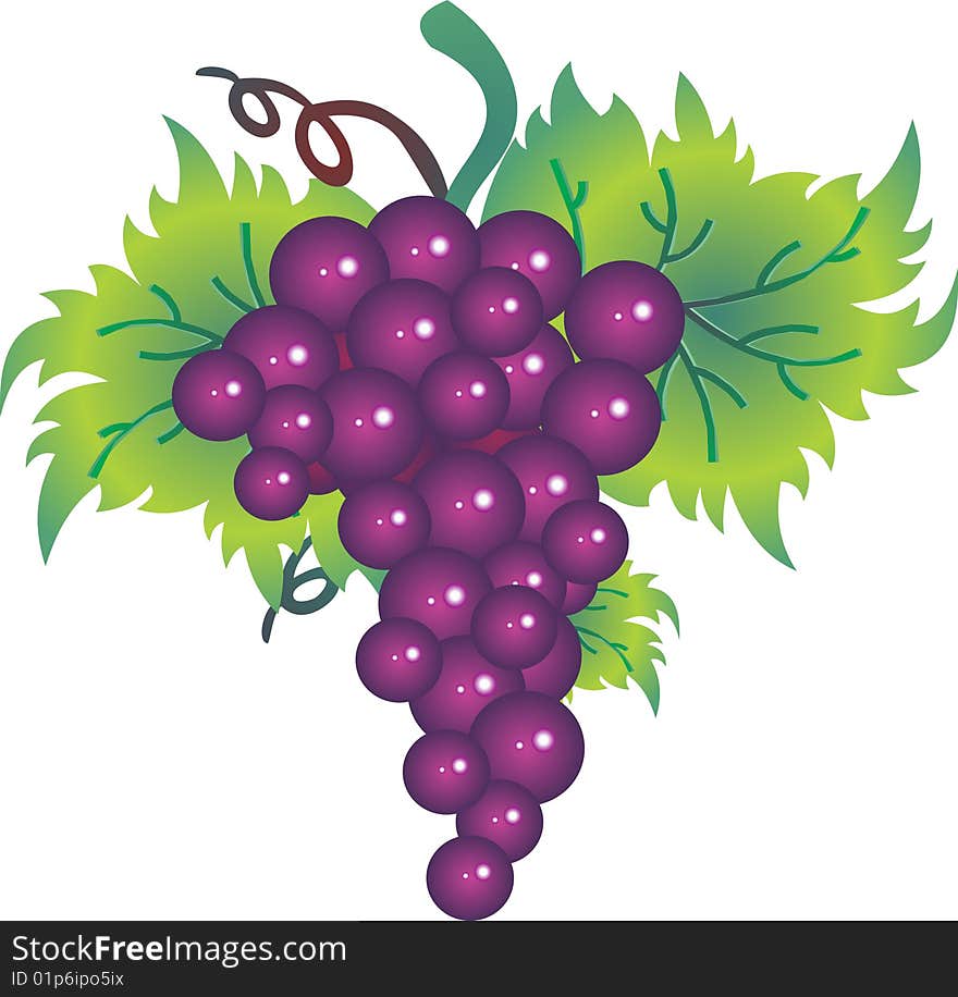 Grape