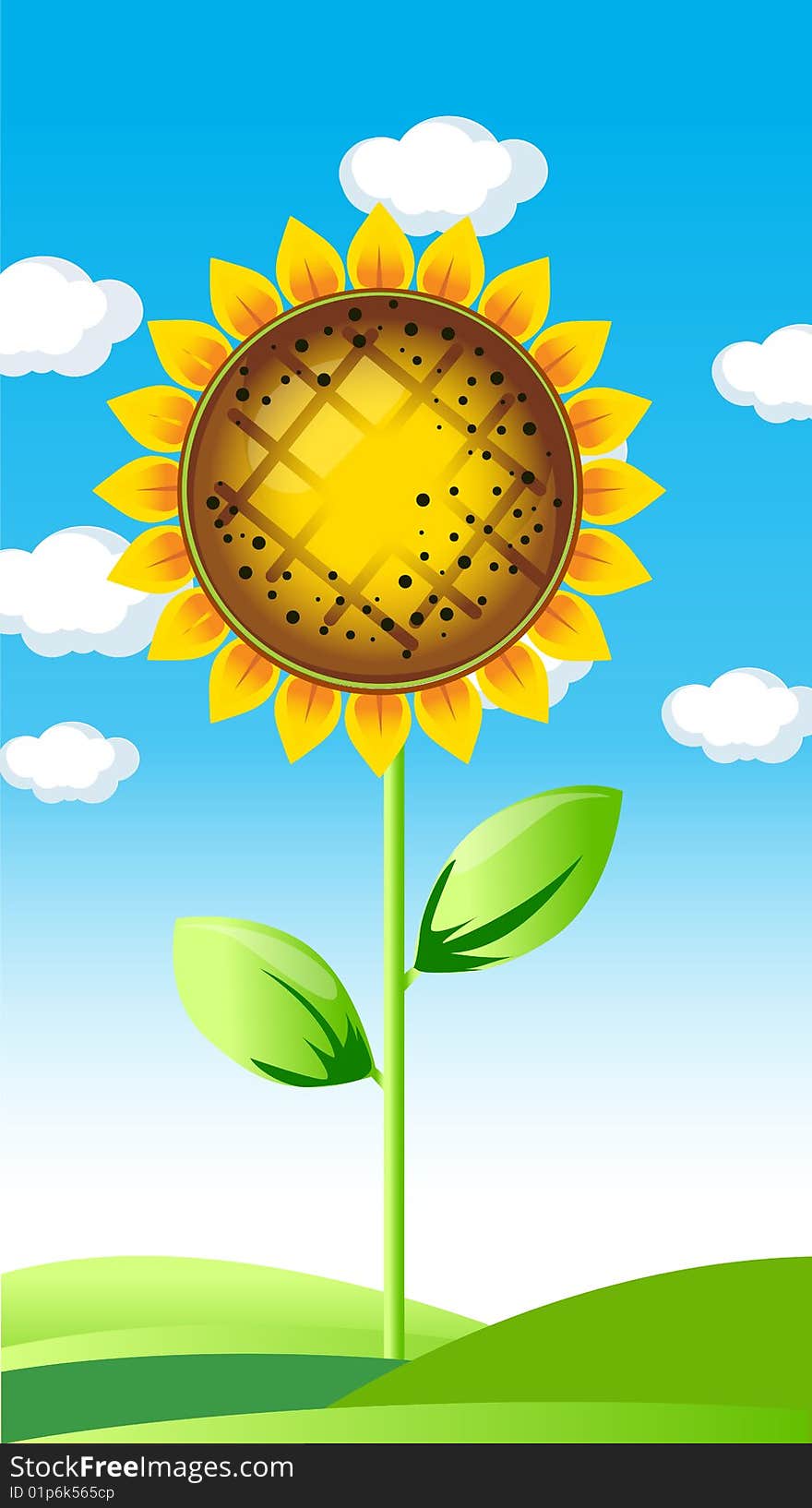 Vector illustration of sunflower