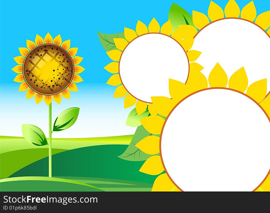 Vector illustration of sunflower