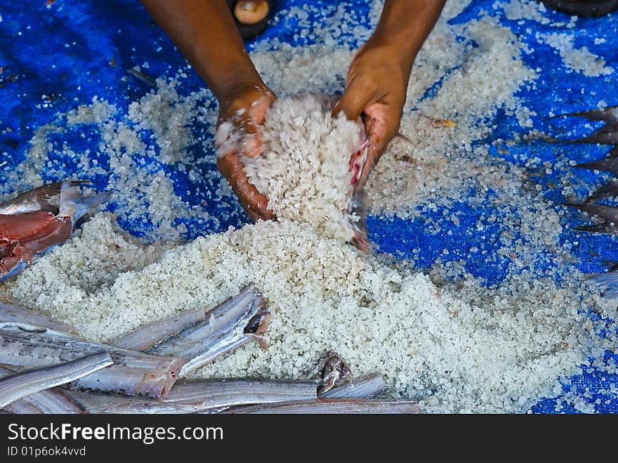 The process of making dry food salted fish. The process of making dry food salted fish