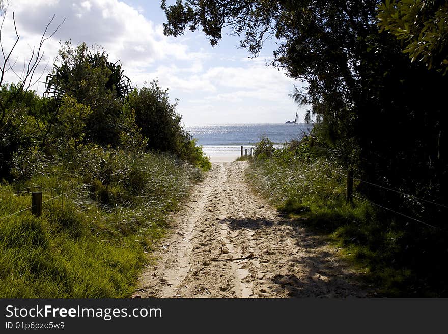 Trail to the beach