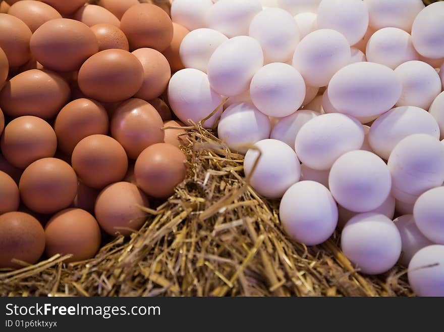 Eggs