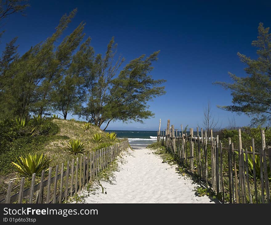 A sand path to the beach. Great cloudless blue sky. A sand path to the beach. Great cloudless blue sky.