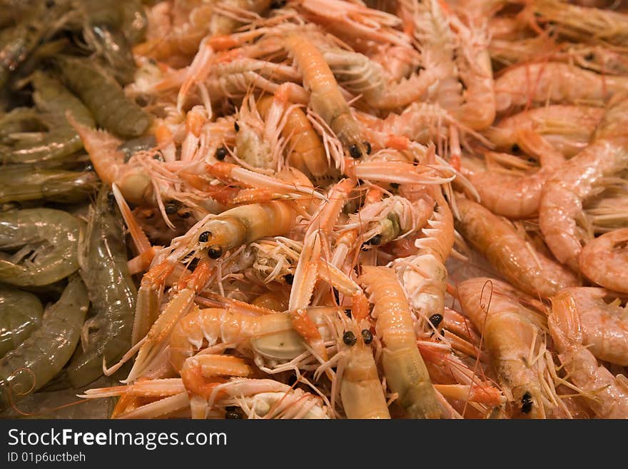 Prawns and shrimps