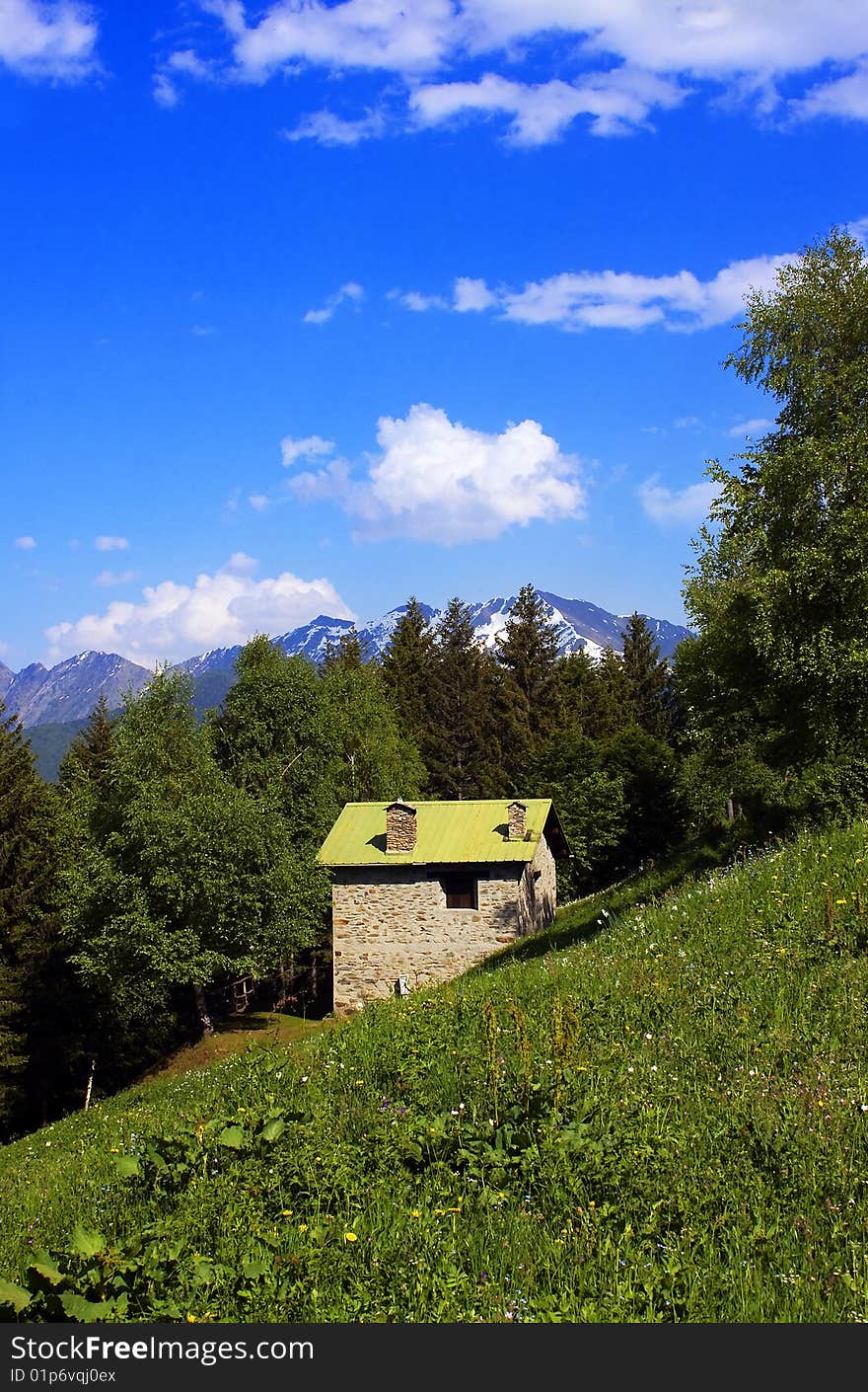 Meadow of mountain flowers and refuges. Meadow of mountain flowers and refuges