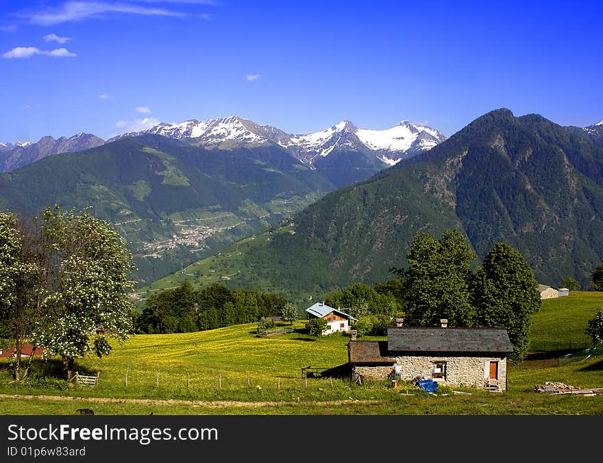 Snow-capped mountains with meadows and woods. Snow-capped mountains with meadows and woods