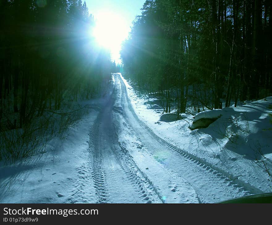 Winter solar road to wood. Winter solar road to wood