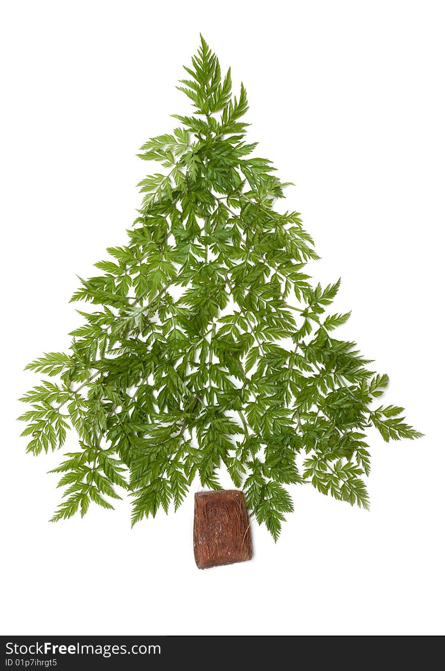 Decorative cristmas spruce