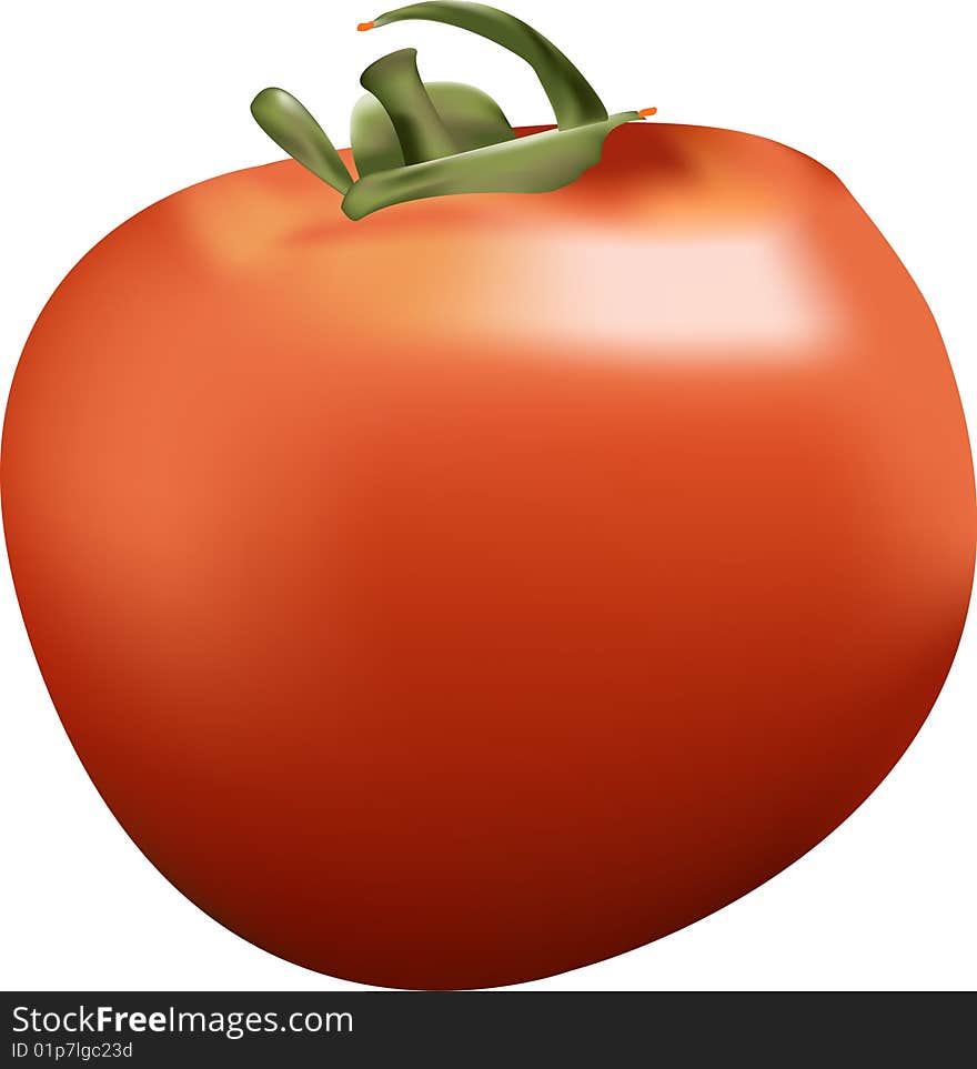 Red tomato fruit isolated abstract