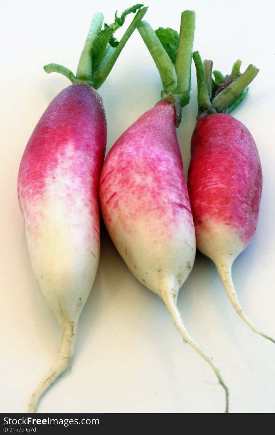 3 red & white radishes on white vertical background