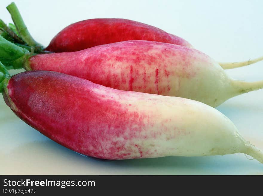 3 radishes horizontal with white background. 3 radishes horizontal with white background